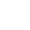 ROI Icon